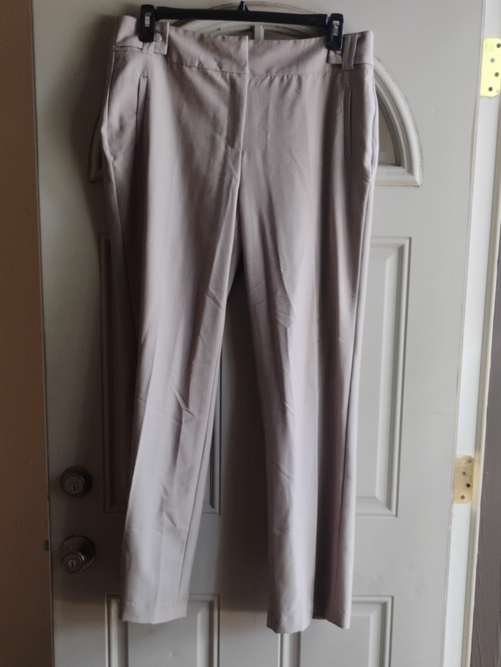 Larry Levine Light Beige Straight-Leg Dress Pants